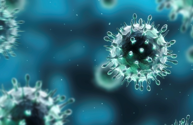 bacteria